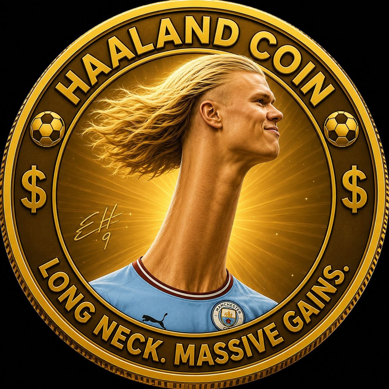 Haaland Coin Logo